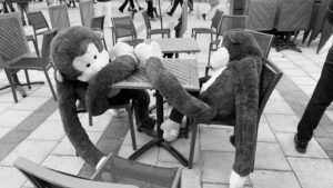 Schwarzweiß Fotografie-Jährlich-januar,