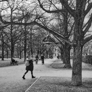 Münih’te kış gününde park yolunda yürüyen insanlar ve bisikletliler, siyah-beyaz sokak fotoğrafı,