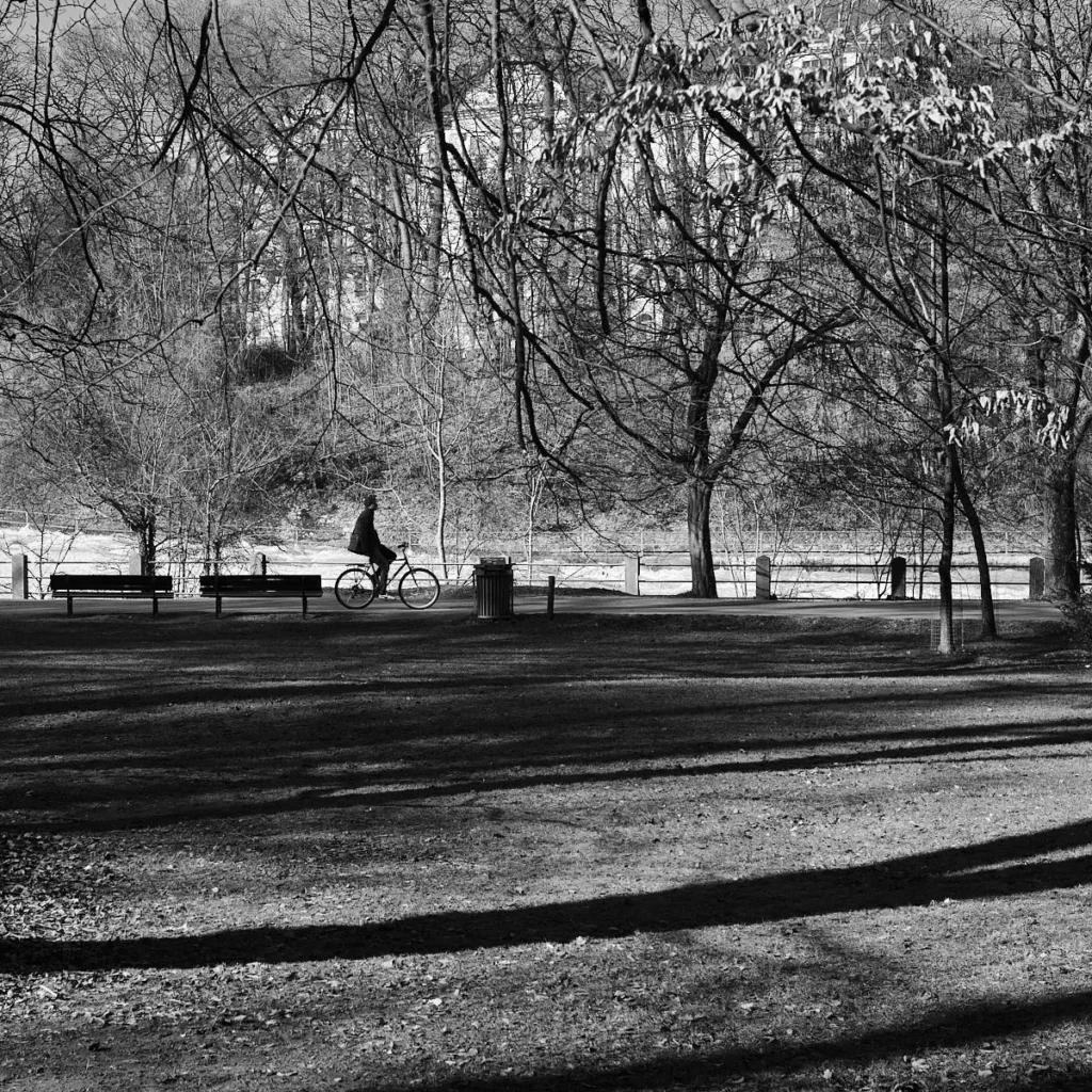 Parktaki patikada bisiklet süren bir kişinin uzaktan-yandan görünümü, uzun ağaç gölgeleri ve banklar içeren siyah beyaz manzara fotoğrafı.